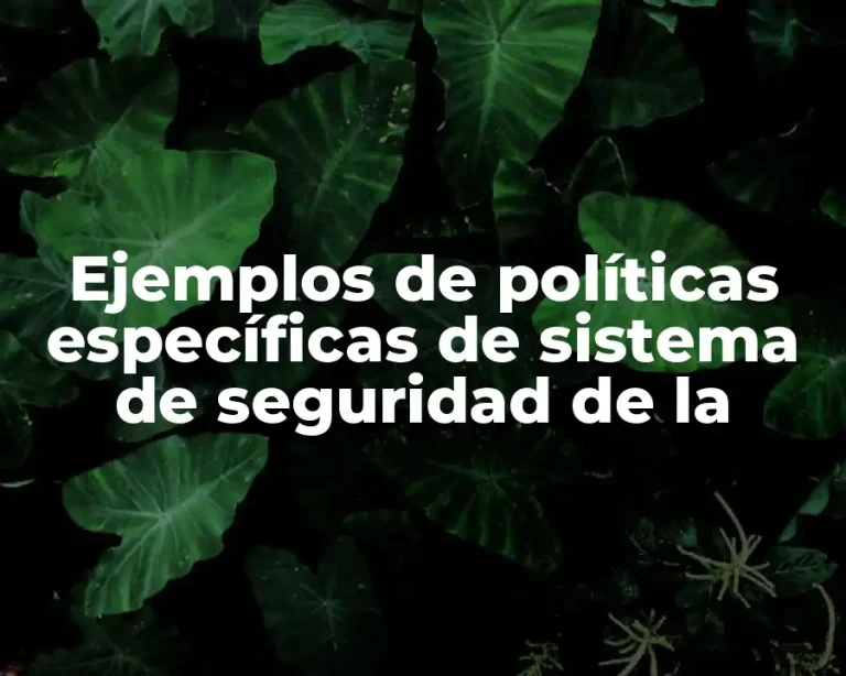 Ejemplos de políticas específicas de sistema de seguridad de la