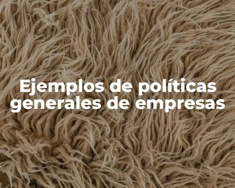 Ejemplos de políticas generales de empresas