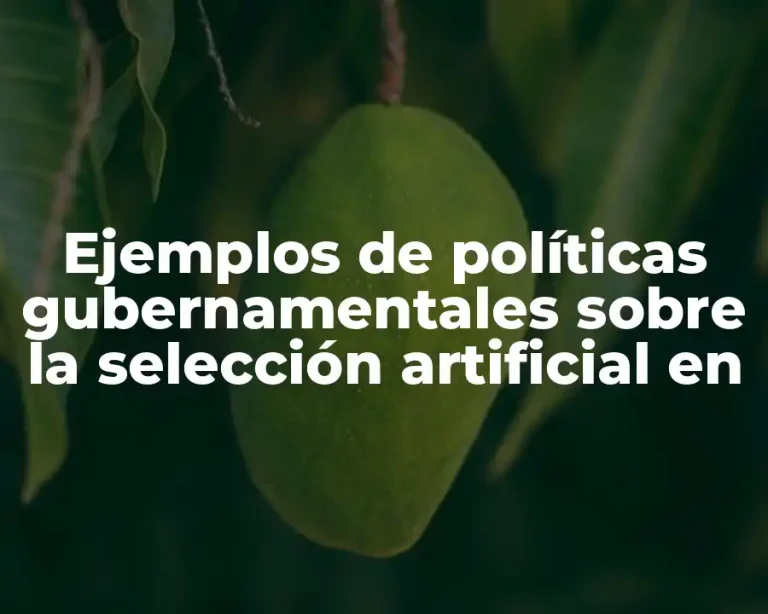 Ejemplos de políticas gubernamentales sobre la selección artificial en