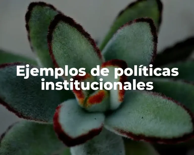 Ejemplos de políticas institucionales