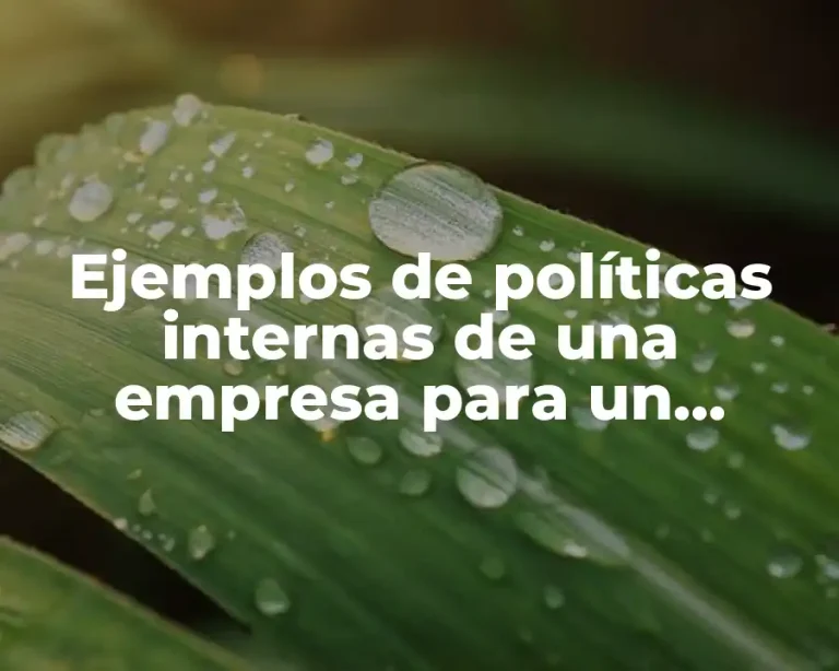 Ejemplos de políticas internas de una empresa para un gerente