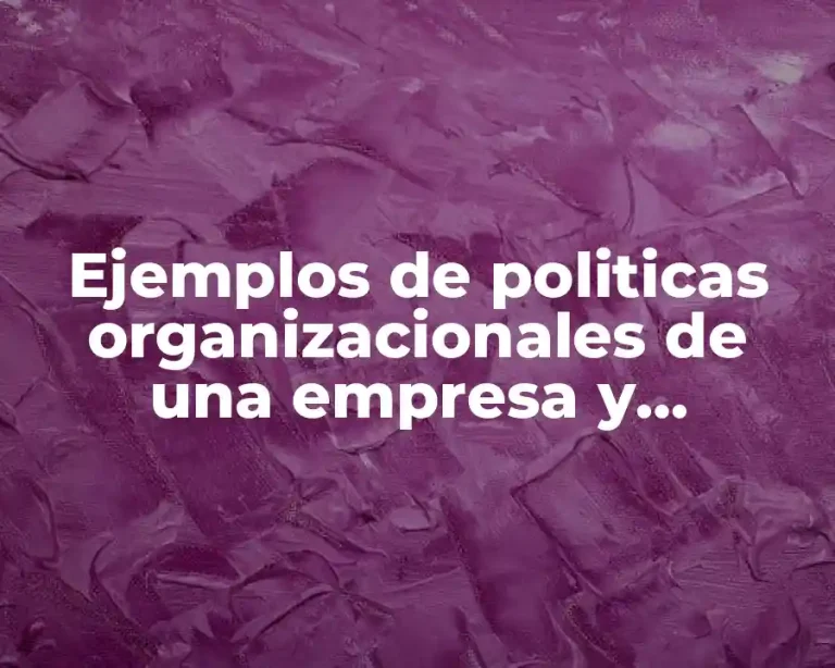 Ejemplos de politicas organizacionales de una empresa y Significado