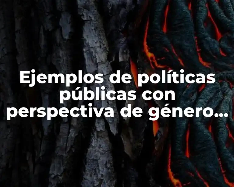 Ejemplos de políticas públicas con perspectiva de género en México