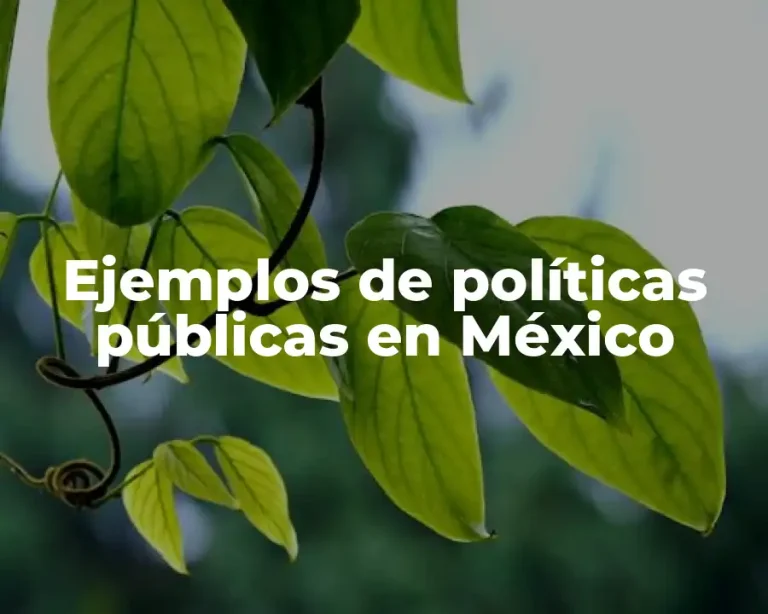 Ejemplos de políticas públicas en México