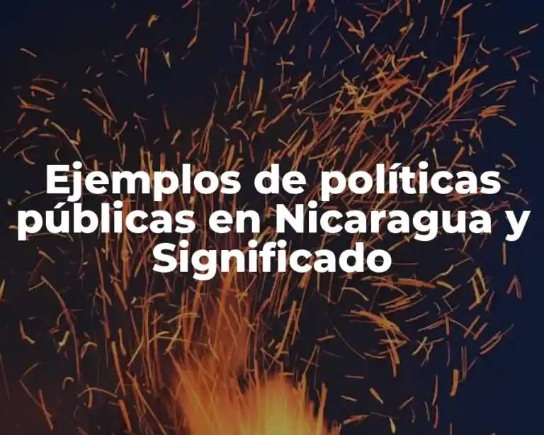 Ejemplos de políticas públicas en Nicaragua y Significado
