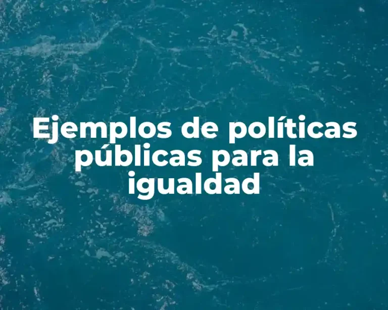 Ejemplos de políticas públicas para la igualdad