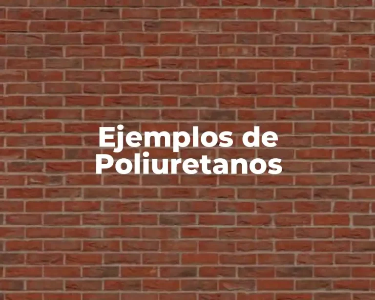 Ejemplos de Poliuretanos