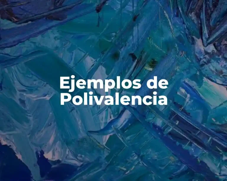 Ejemplos de Polivalencia