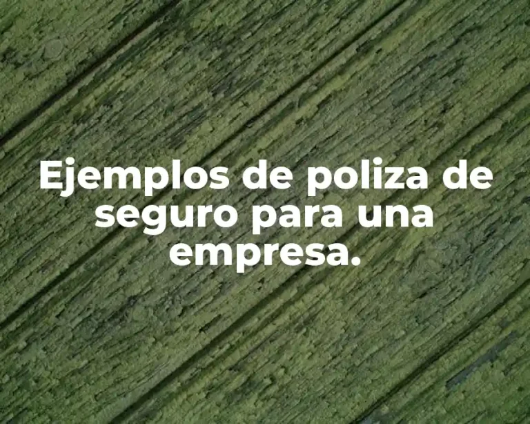 Ejemplos de poliza de seguro para una empresa.