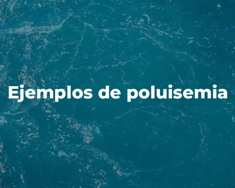 Ejemplos de poluisemia