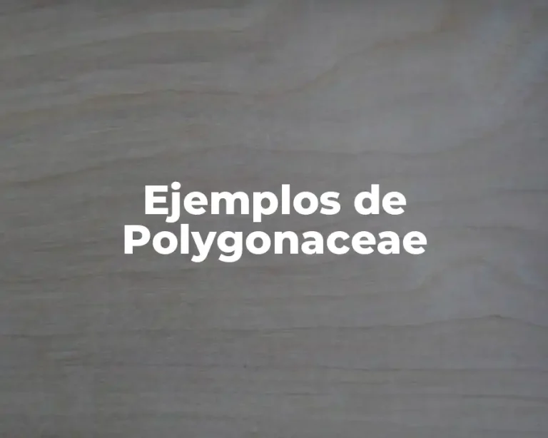 Ejemplos de Polygonaceae