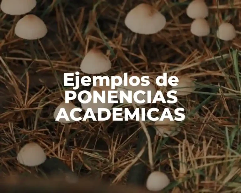Ejemplos de PONENCIAS ACADEMICAS