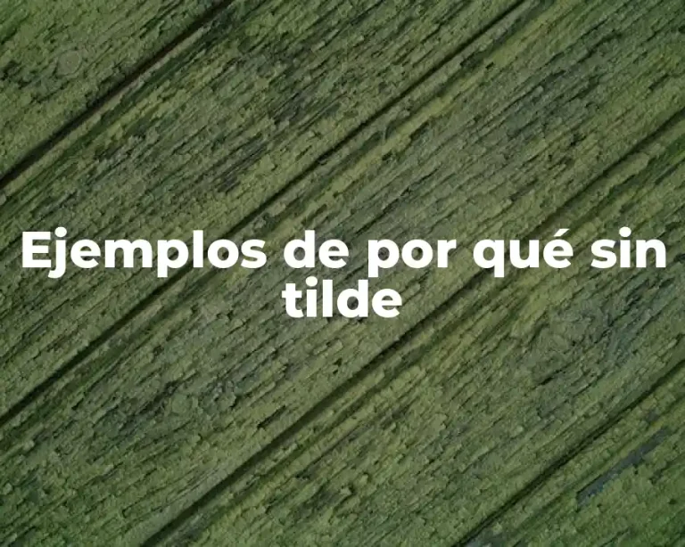 Ejemplos de por qué sin tilde
