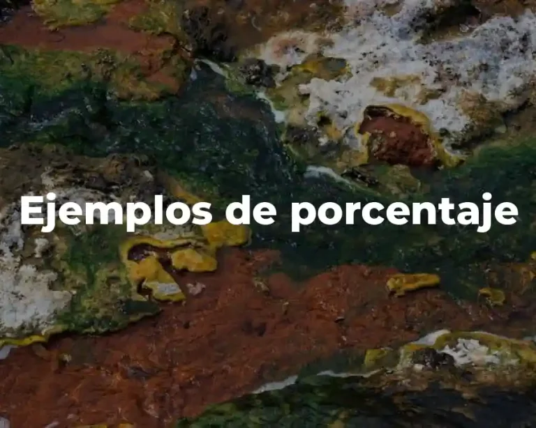 Ejemplos de porcentaje