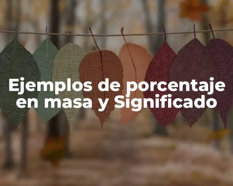 Ejemplos de porcentaje en masa y Significado