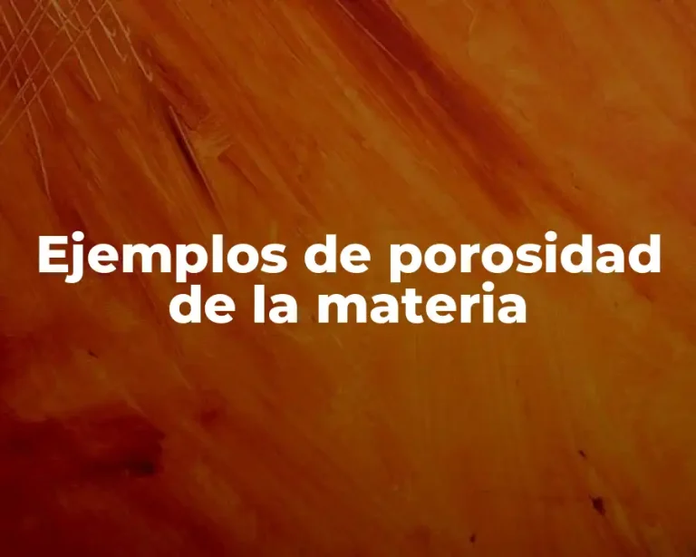 Ejemplos de porosidad de la materia