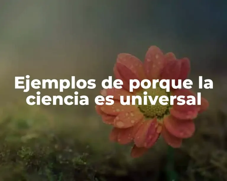 Ejemplos de porque la ciencia es universal