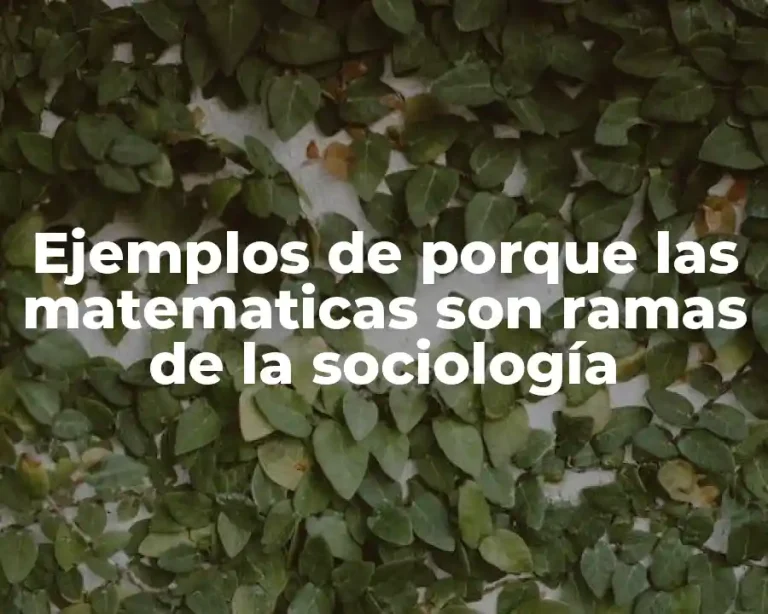 Ejemplos de porque las matematicas son ramas de la sociología
