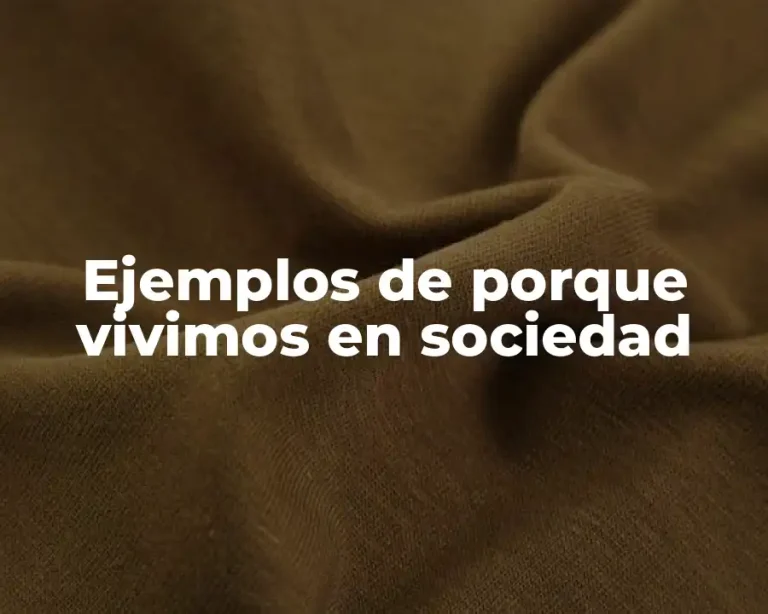 Ejemplos de porque vivimos en sociedad
