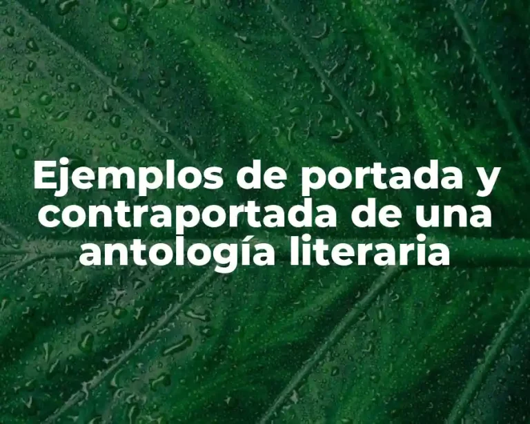 Ejemplos de portada y contraportada de una antología literaria