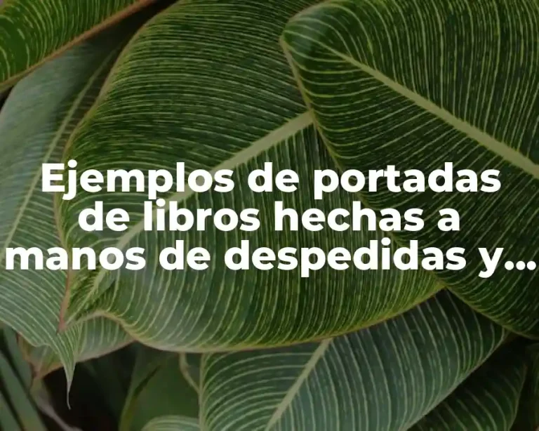 Ejemplos de portadas de libros hechas a manos de despedidas y Significado