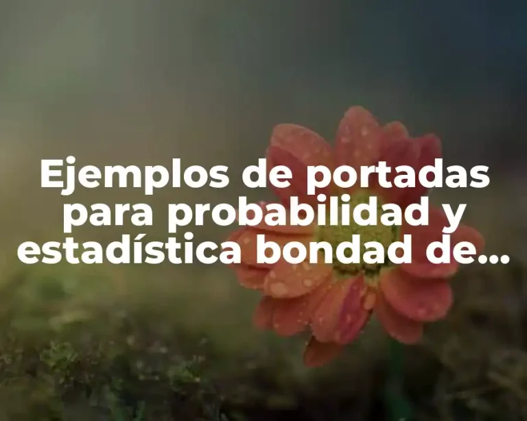 Ejemplos de portadas para probabilidad y estadística bondad de ajuste