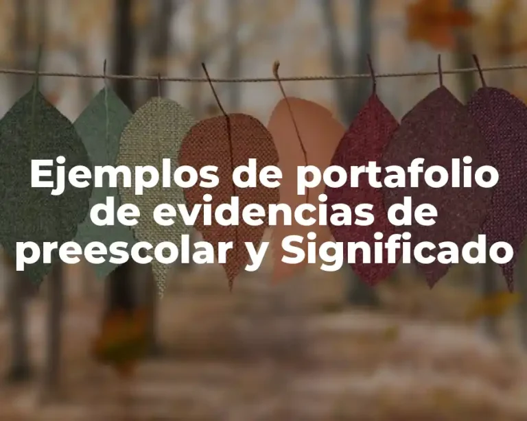 Ejemplos de portafolio de evidencias de preescolar y Significado
