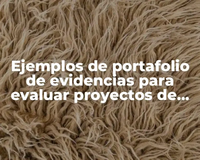 Ejemplos de portafolio de evidencias para evaluar proyectos de inversión