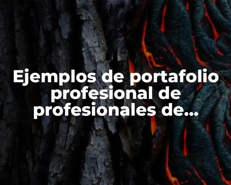 Ejemplos de portafolio profesional de profesionales de enfermería