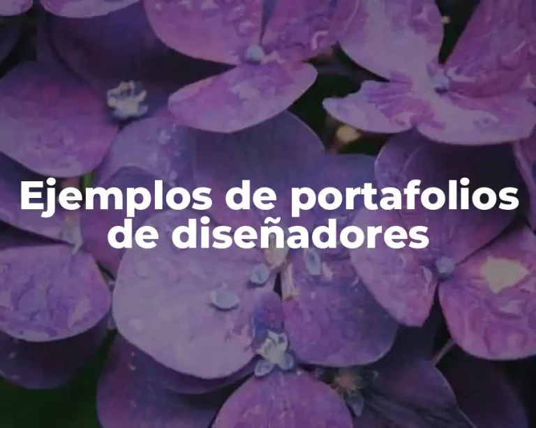 Ejemplos de portafolios de diseñadores