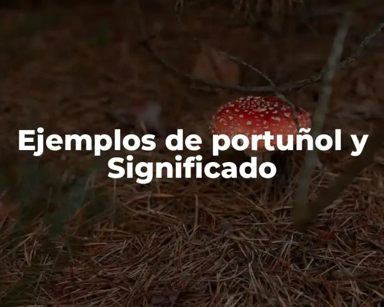 Ejemplos de portuñol y Significado