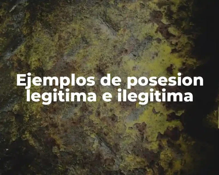 Ejemplos de posesion legitima e ilegitima