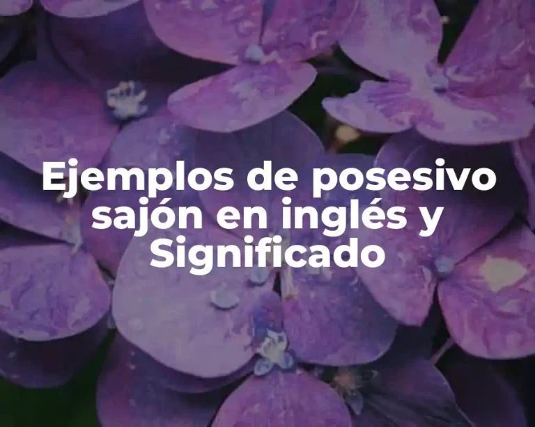 Ejemplos de posesivo sajón en inglés y Significado