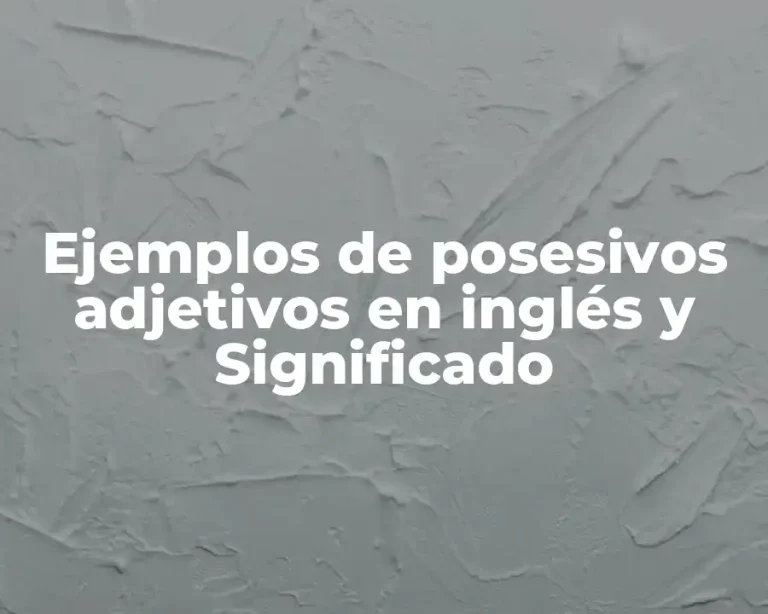 Ejemplos de posesivos adjetivos en inglés y Significado