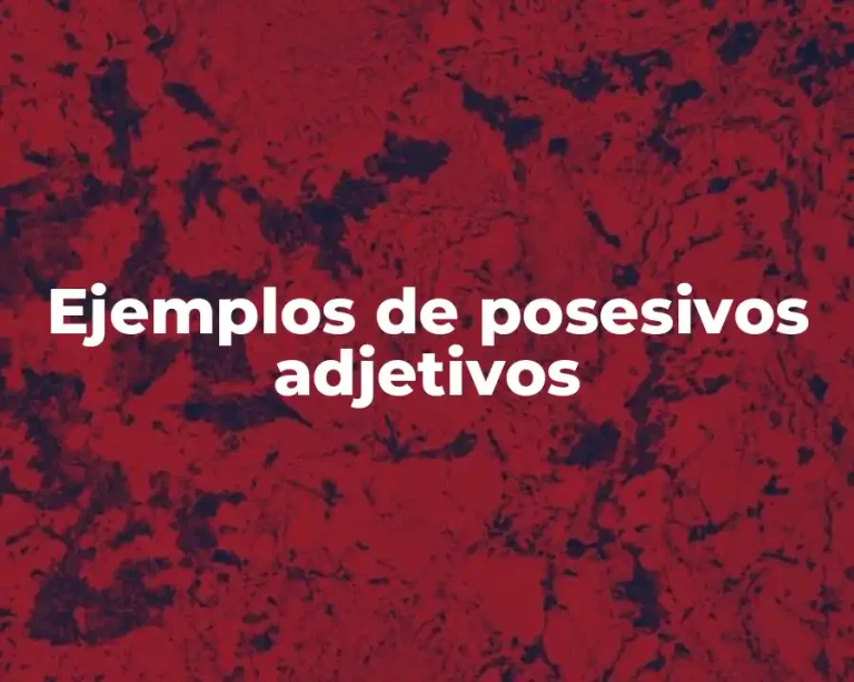 Ejemplos de posesivos adjetivos