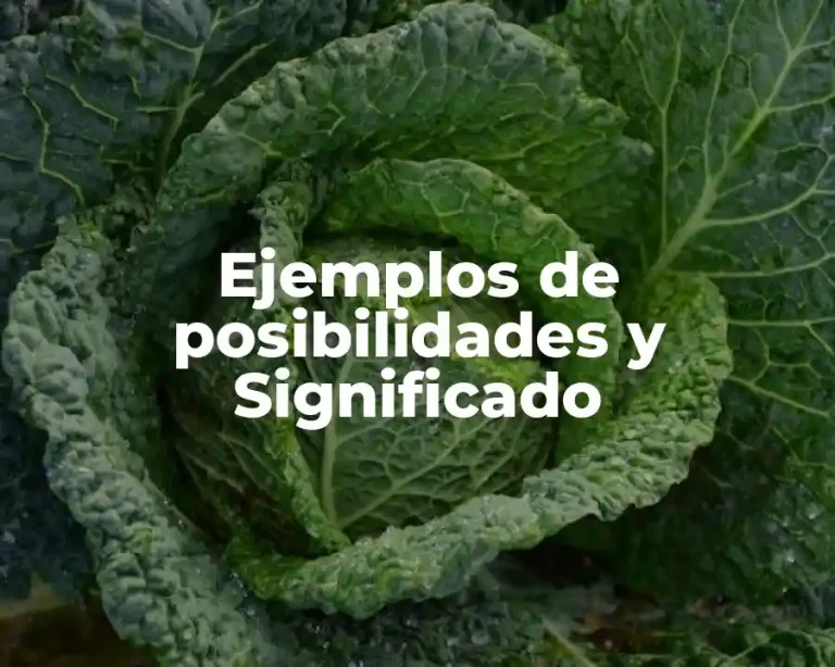 Ejemplos de posibilidades y Significado