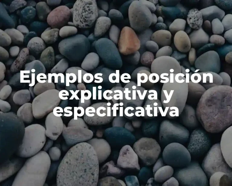 Ejemplos de posición explicativa y especificativa