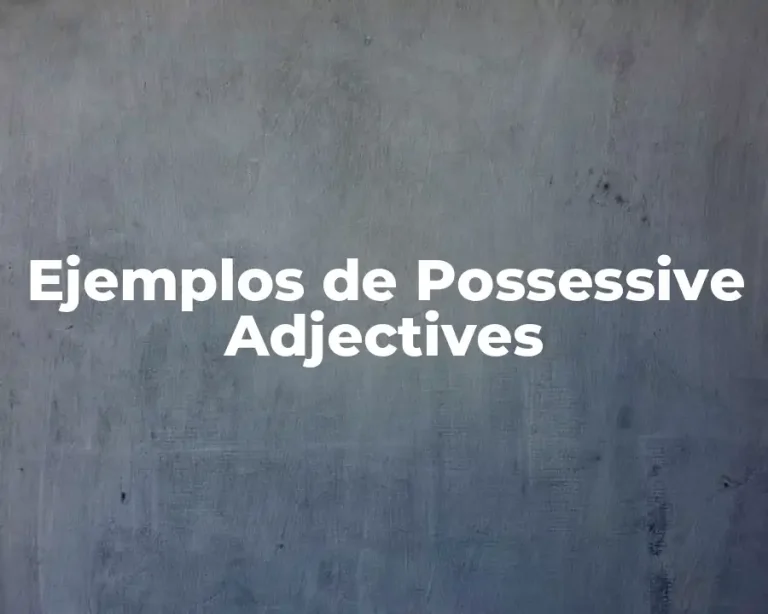 Ejemplos de Possessive Adjectives