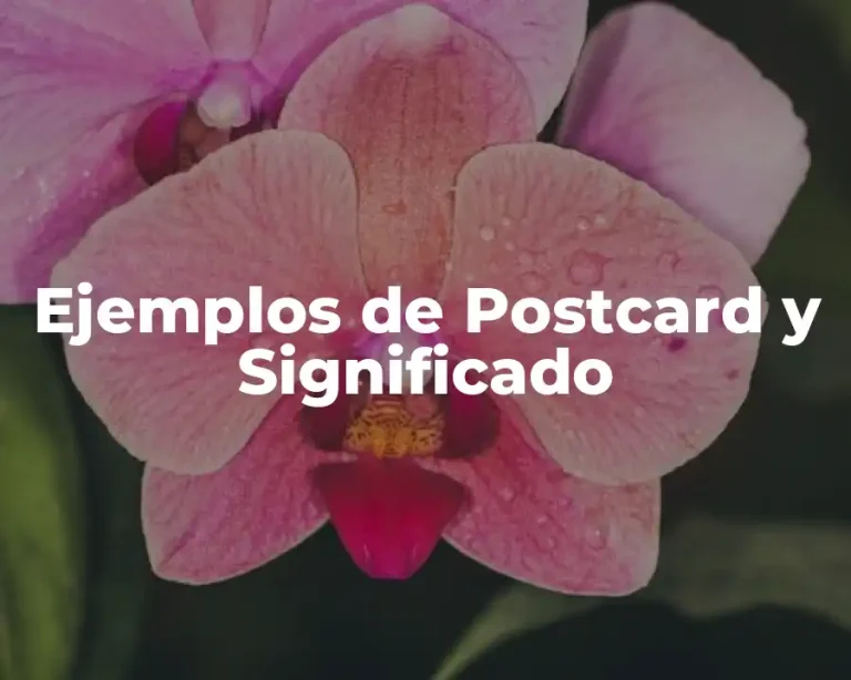 Ejemplos de Postcard y Significado
