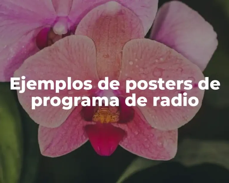 Ejemplos de posters de programa de radio