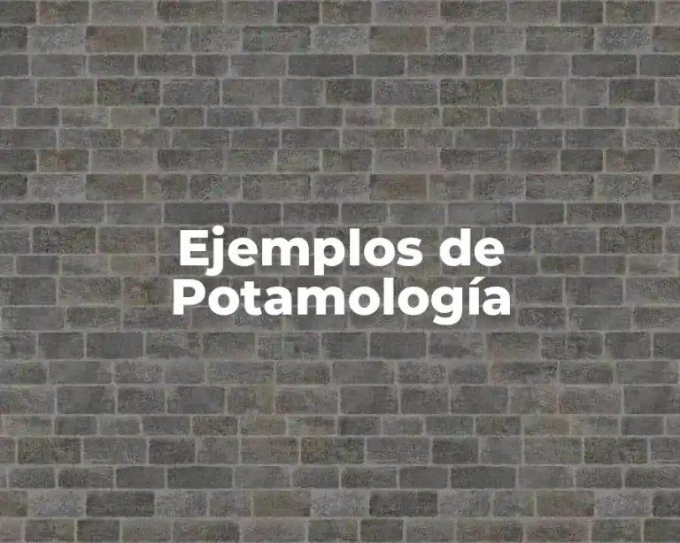 Ejemplos de Potamología