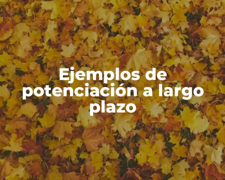 Ejemplos de potenciación a largo plazo