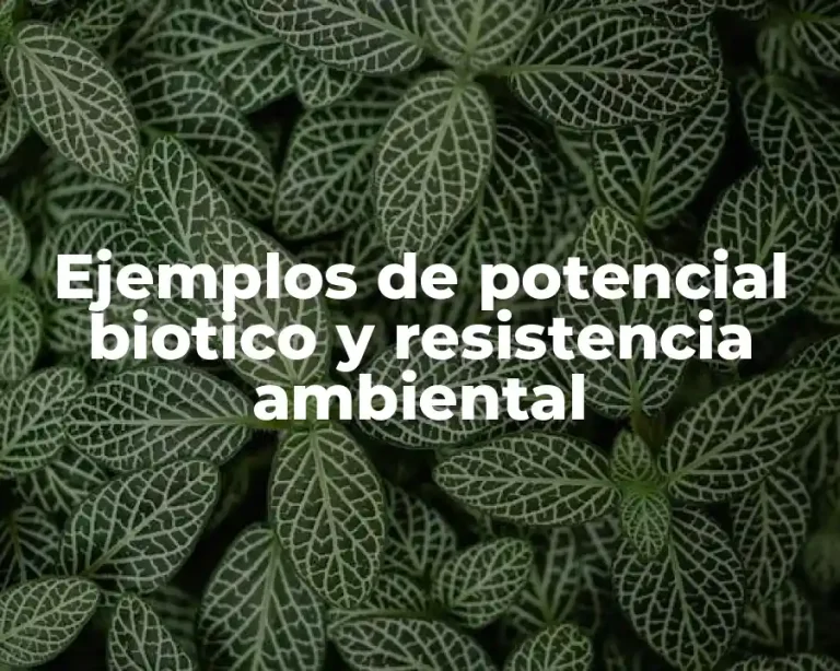 Ejemplos de potencial biotico y resistencia ambiental