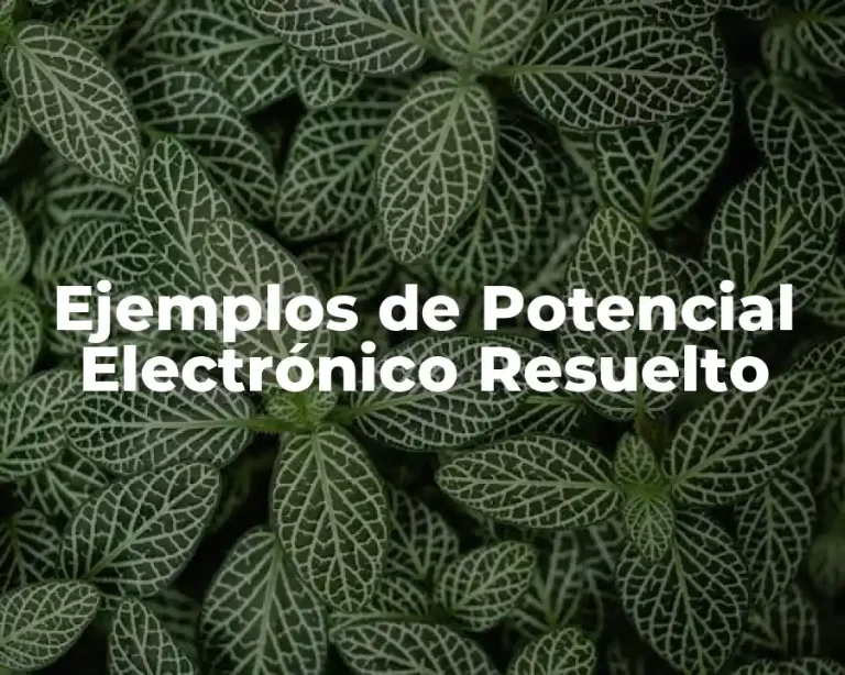Ejemplos de Potencial Electrónico Resuelto