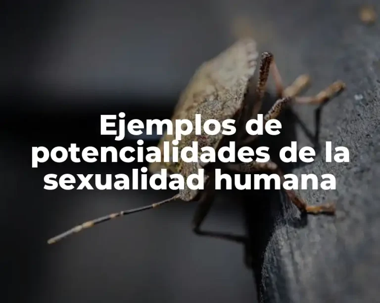 Ejemplos de potencialidades de la sexualidad humana
