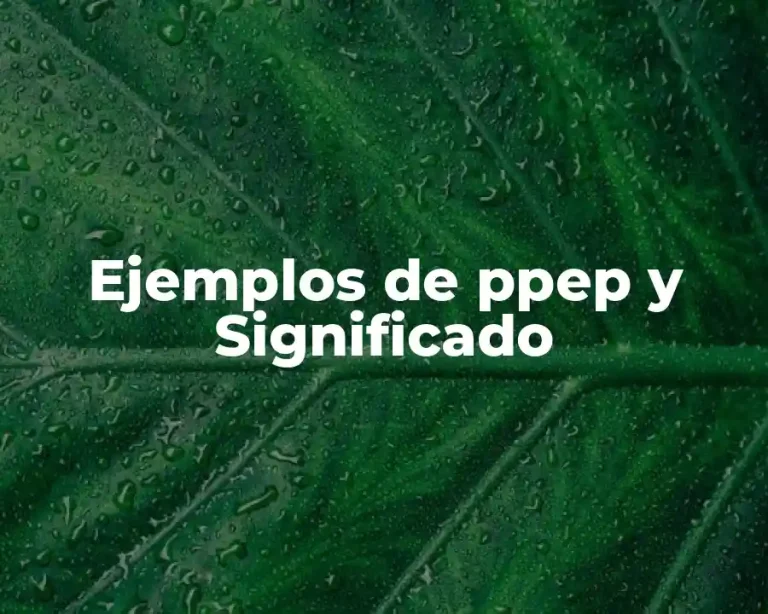 Ejemplos de ppep y Significado