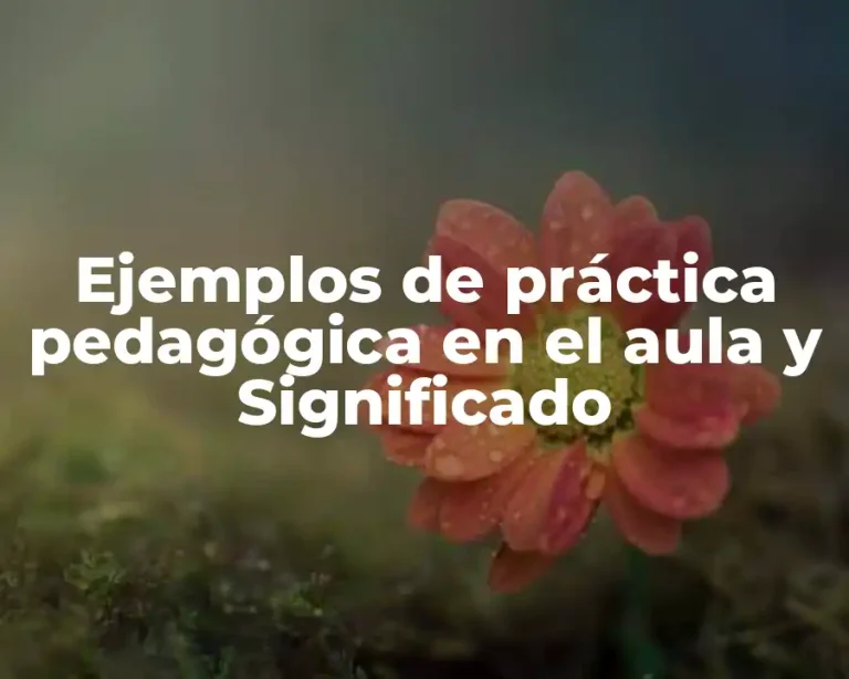 Ejemplos de práctica pedagógica en el aula y Significado