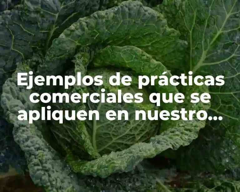 Ejemplos de prácticas comerciales que se apliquen en nuestro país y Significado