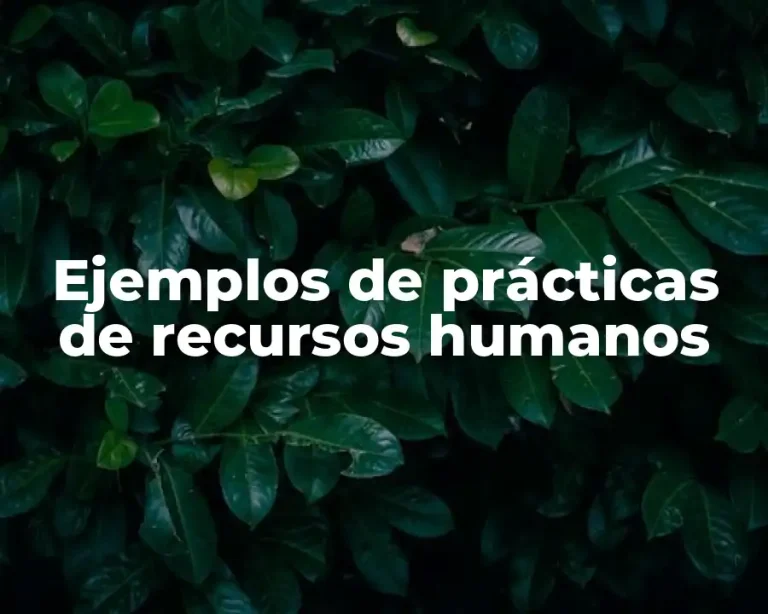 Ejemplos de prácticas de recursos humanos