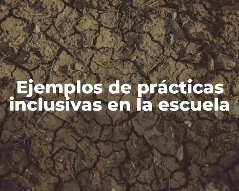 Ejemplos de prácticas inclusivas en la escuela